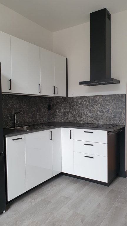 Hoofdstraat 40A - Keuken met afzuigkamp en inductiekookplaat.jpg